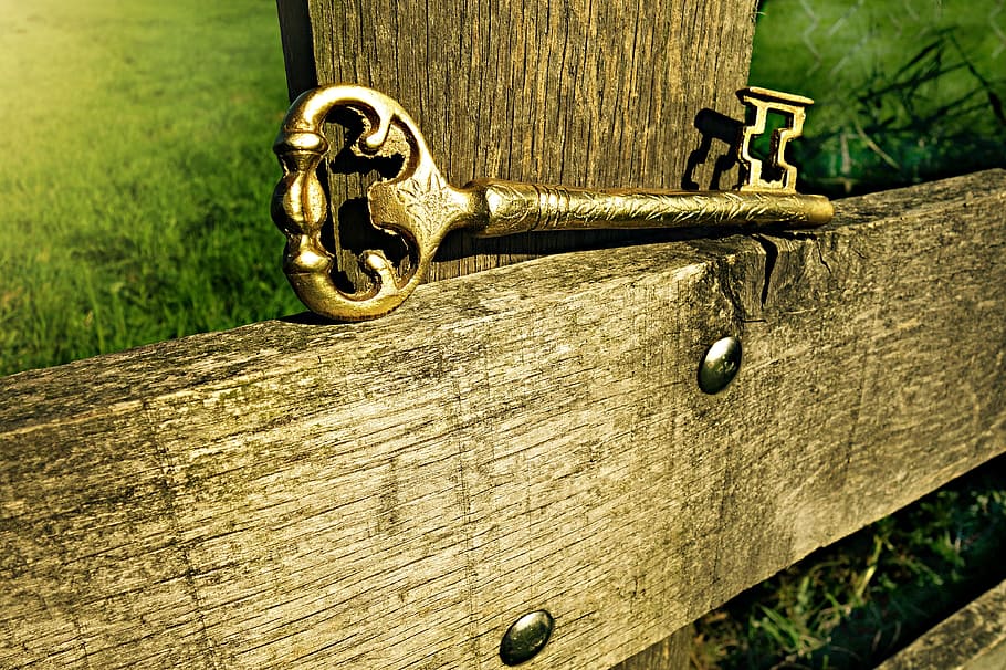 selective focus photo of gold skeleton key, metal, entrance, gate