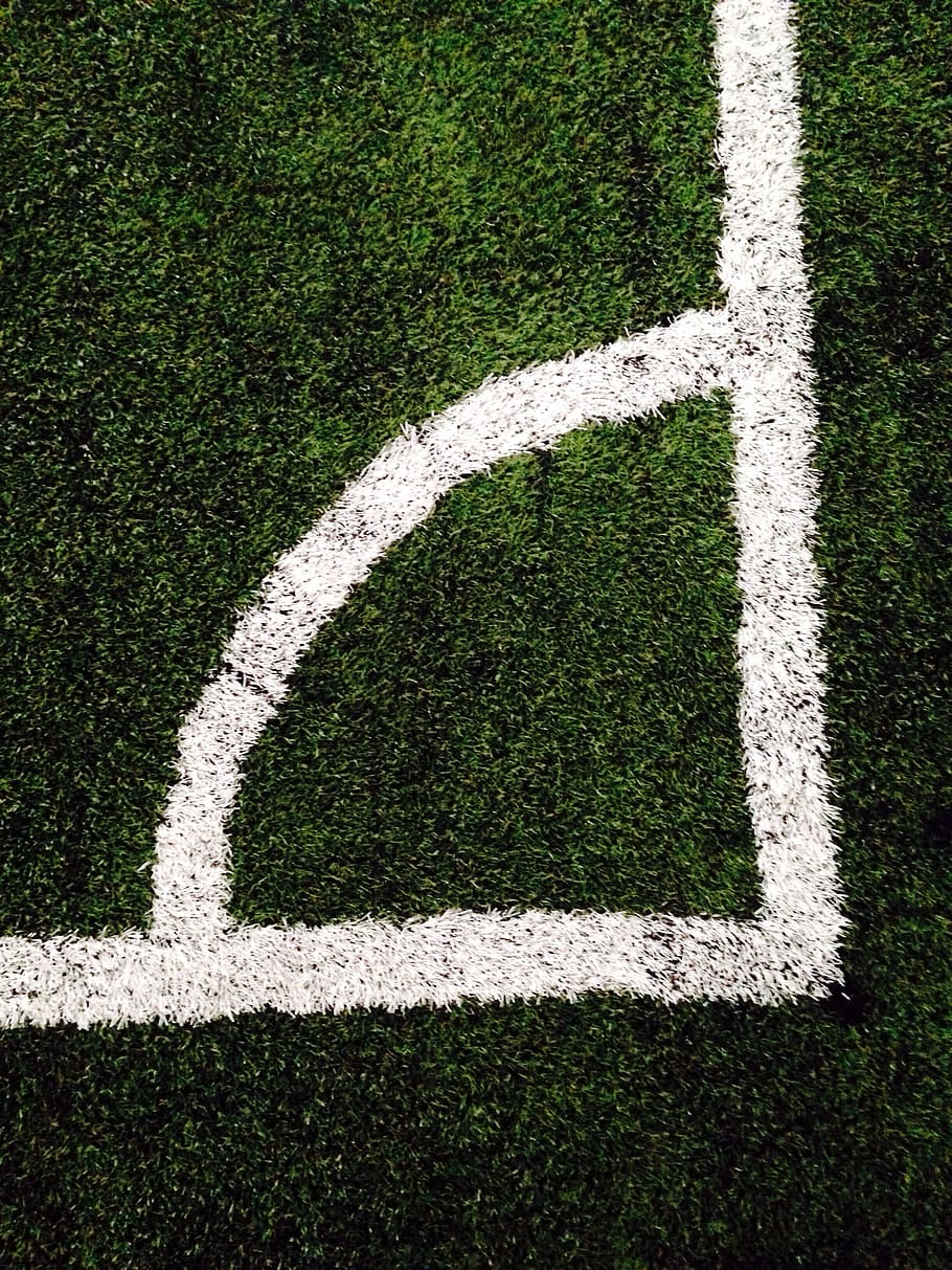 closeup photo of green grass ground, green lawn, track, field HD wallpaper