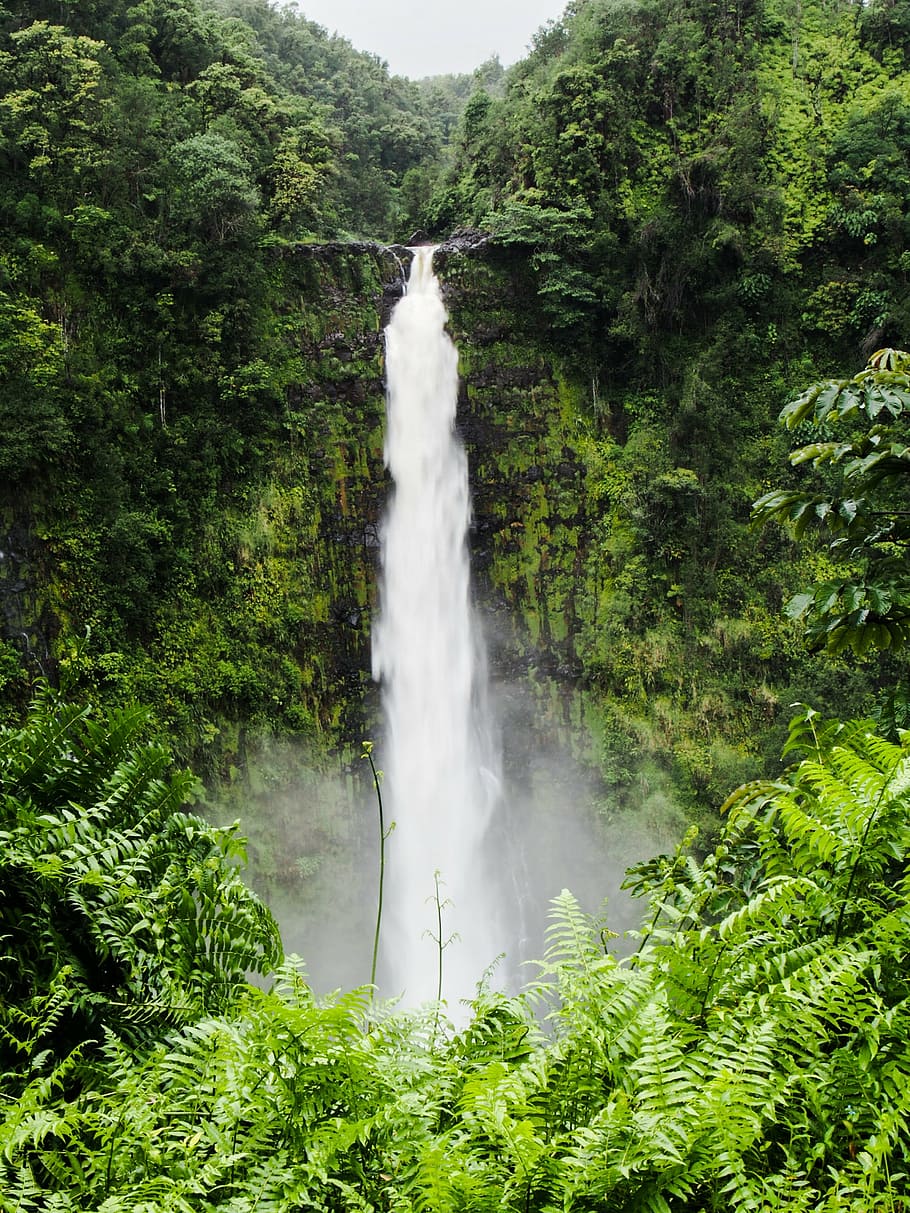 nothing, nada, none, waterfall, green color, nature, no people HD wallpaper