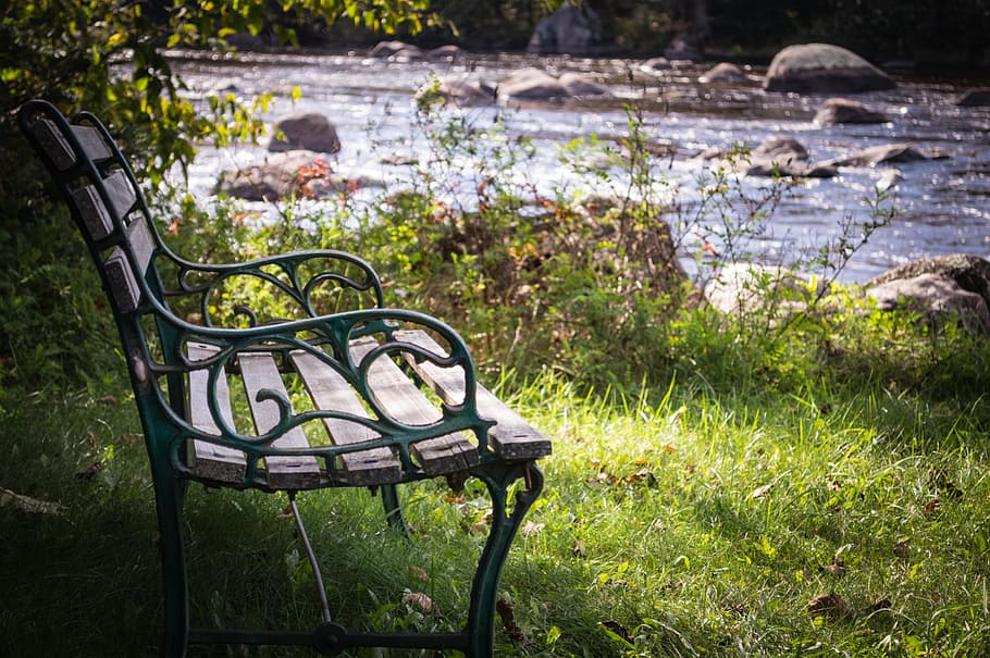 bench, river, water, seat, grass, plant, empty, nature, no people HD wallpaper