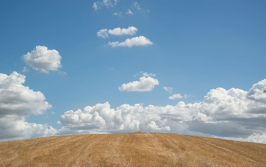 photo of grain field during daytime, hill, blue sky, clouds HD wallpaper