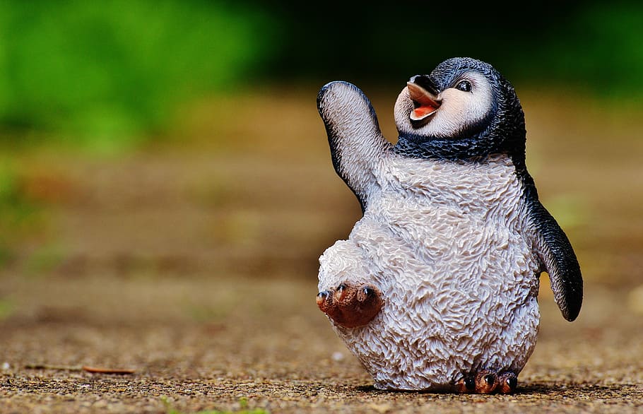 gray and black penguin figurine, figure, cute, deco, animal HD wallpaper