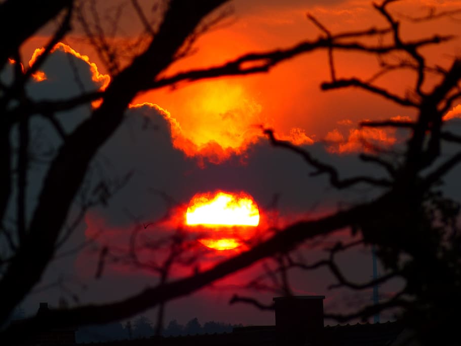 Sunset, Light, Burn, Glow, sky, silhouette, back light, tree HD wallpaper