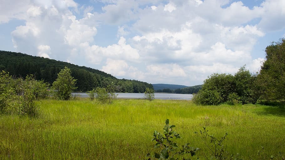 lake, trees, sky, valley, nature, landscape, plant, cloud - sky HD wallpaper