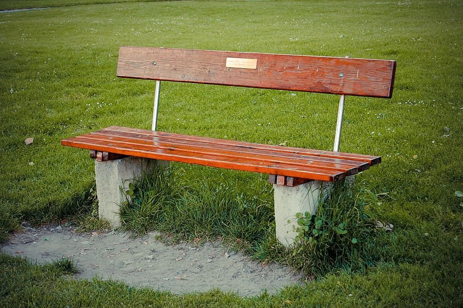 bench, park, sit, rest, relaxation, fresh air, grass, plant HD wallpaper