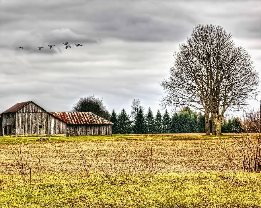 barn, rustic, barns, ohio, digital art, rural, scenic, country HD wallpaper