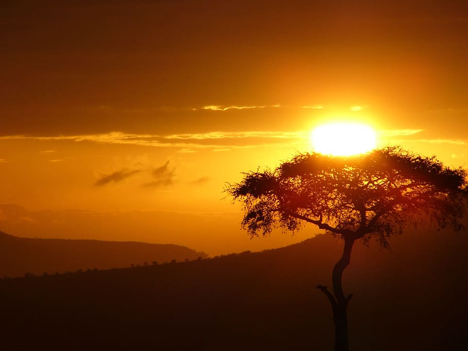 Doubt, Sun, Tree, Sunrise, Africa, from doubt, sun tree, hope, HD wallpaper