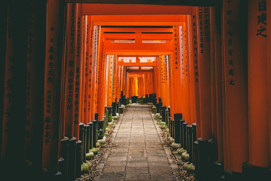 grey concrete pathway with orange walls, Fushimi Inari-taisha