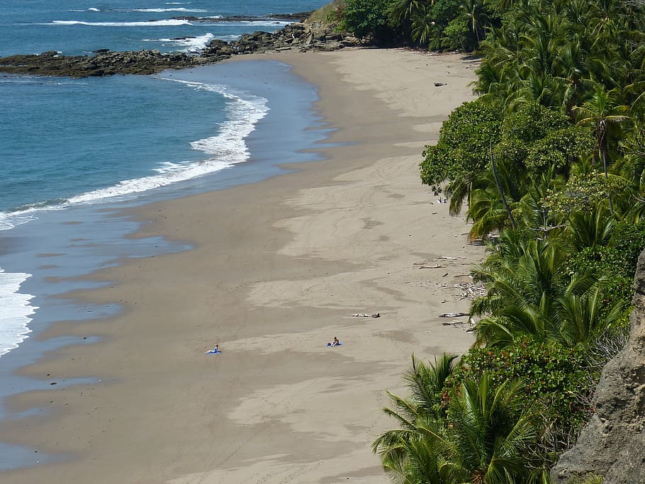 beach, sand, sea, wave, holiday, pacific, booked, coast, nature HD wallpaper