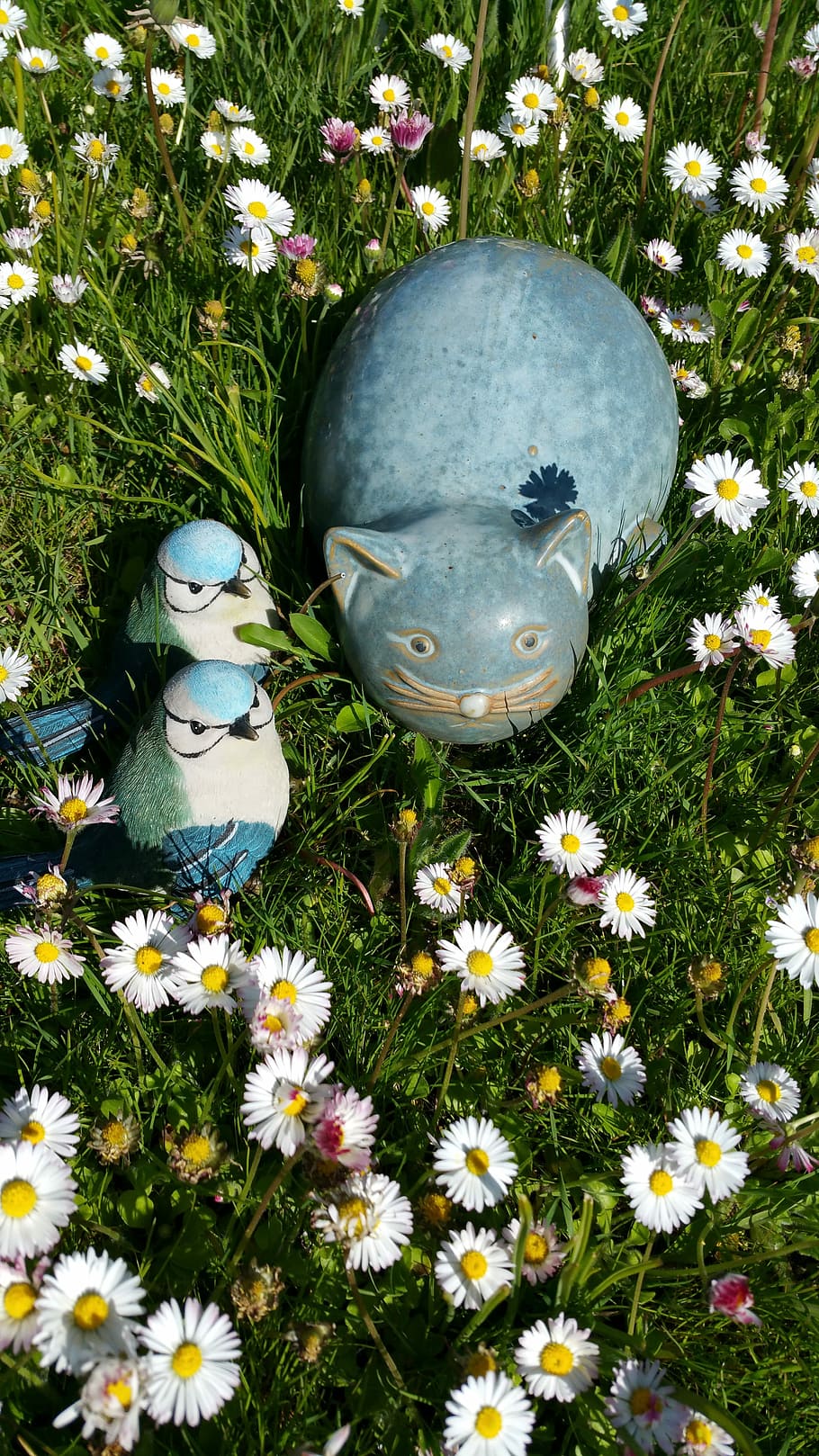 Cat, Birds, Figures, Deco, Spring, Meadow, spring meadow, harmony HD wallpaper