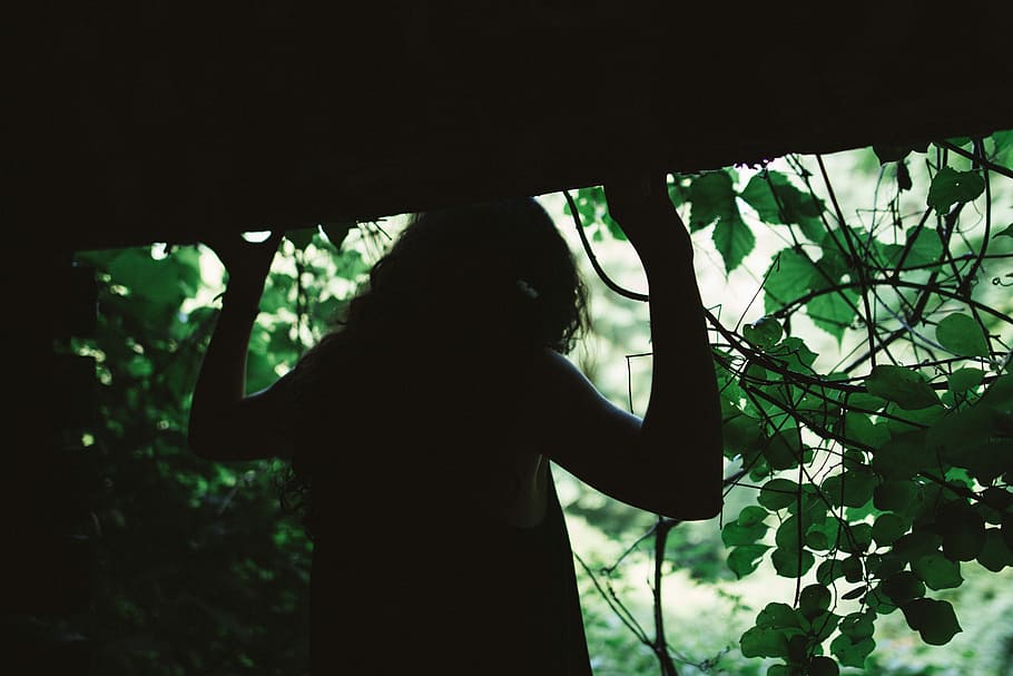 silhouette photo of woman, silhouette of person standing along tree