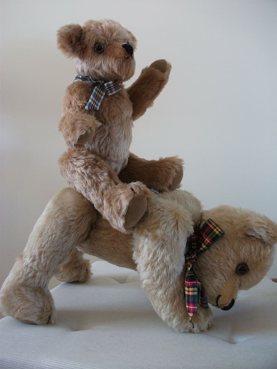 teddies, cute, bear, happy, playing, toy, teddy, domestic animals HD wallpaper