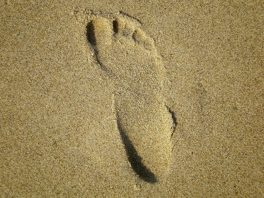 footprint, barefoot, beach, land, sand, high angle view, nature HD wallpaper