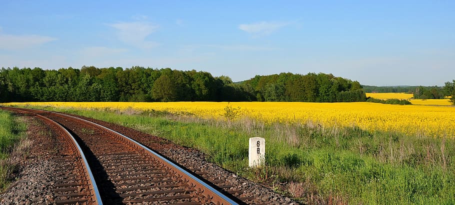 train tracks beside grass, railway, rapeseed, energy, fuel, alternative, HD wallpaper