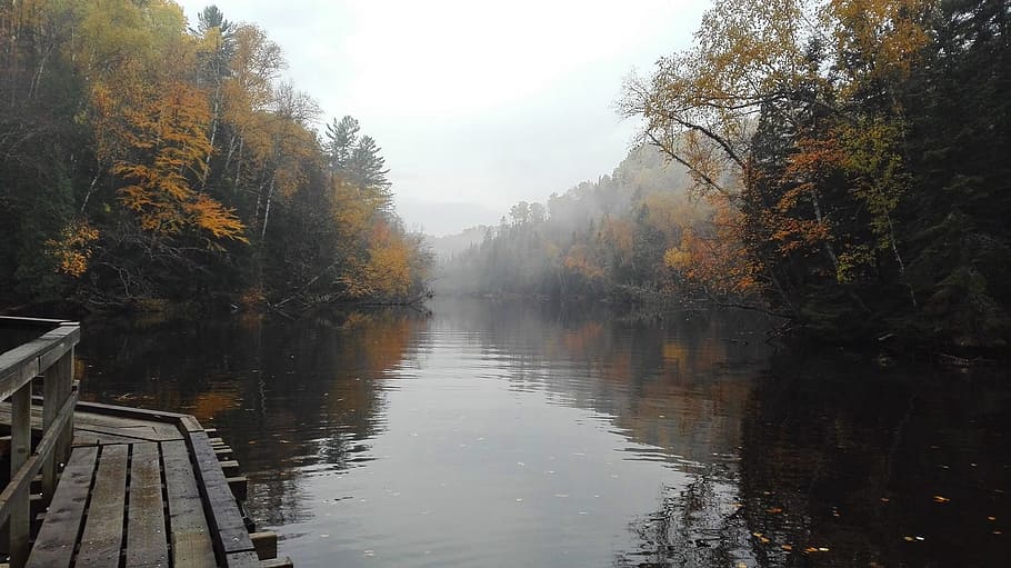 park, canada, reflection, fall, nature, forest, québec, trees HD wallpaper