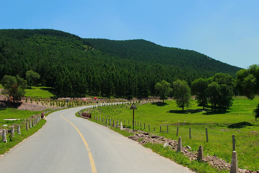 gray concrete road between green grass field under blue sky at daytime HD wallpaper