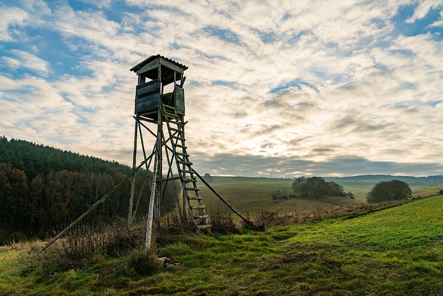 brown wooden watch tower, perch, hunter was, privacy, forest HD wallpaper