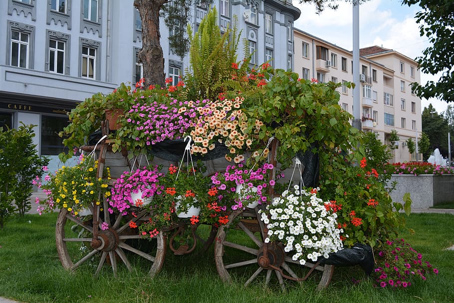 flowers, arrangement, wheel, old, rustic, design, hotchpotch HD wallpaper