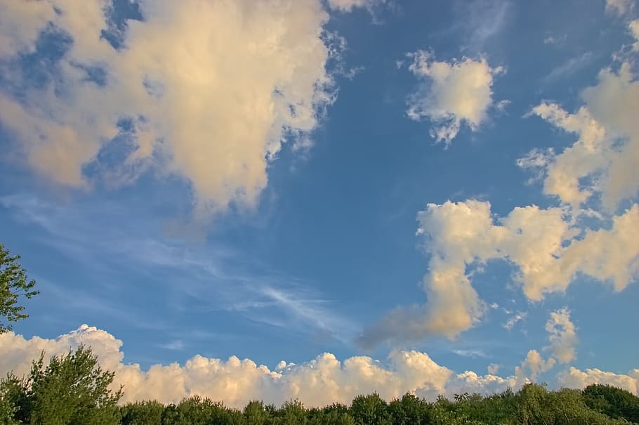 dramatic, sky, clouds, ohio, trees, cloud - sky, beauty in nature HD wallpaper