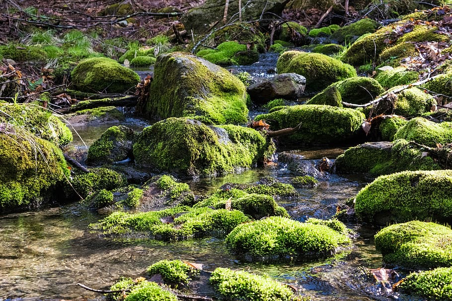 nature, water, moss, stone, rock, landscape, stream, outdoors HD wallpaper