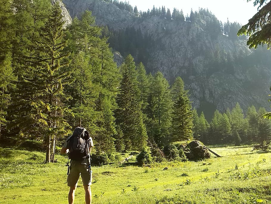 holiday, excursion, mountains, meadow, coach, hiking, forest HD wallpaper