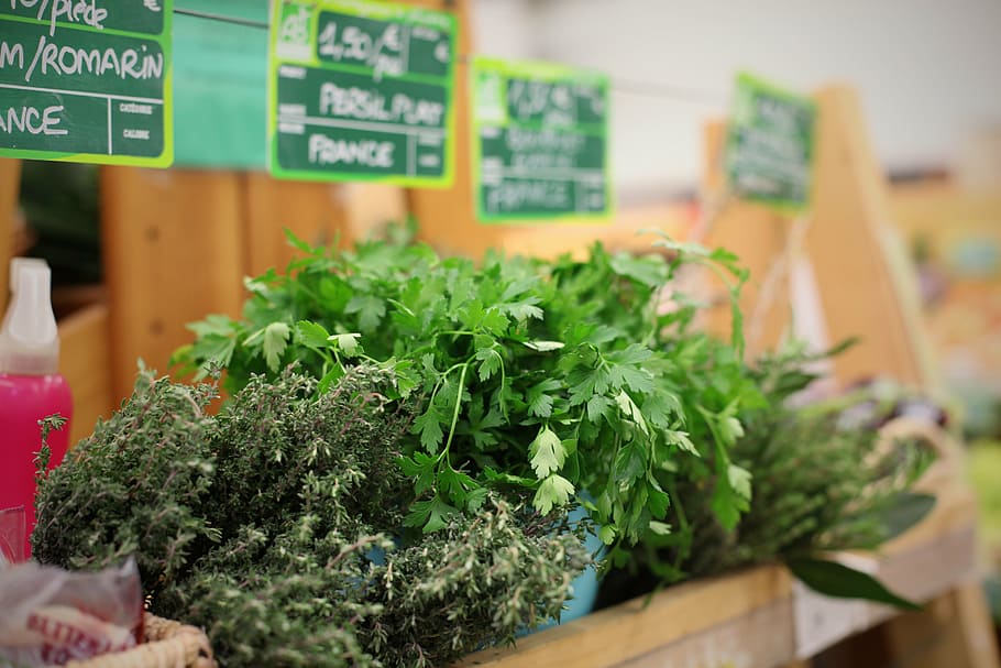 herbs, bio, store, food, freshness, food and drink, green color HD wallpaper