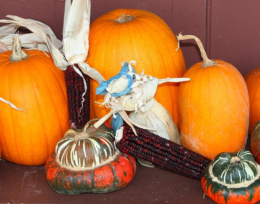 corn husk doll, pumpkins, gourds, fall, autumn, food and drink HD wallpaper