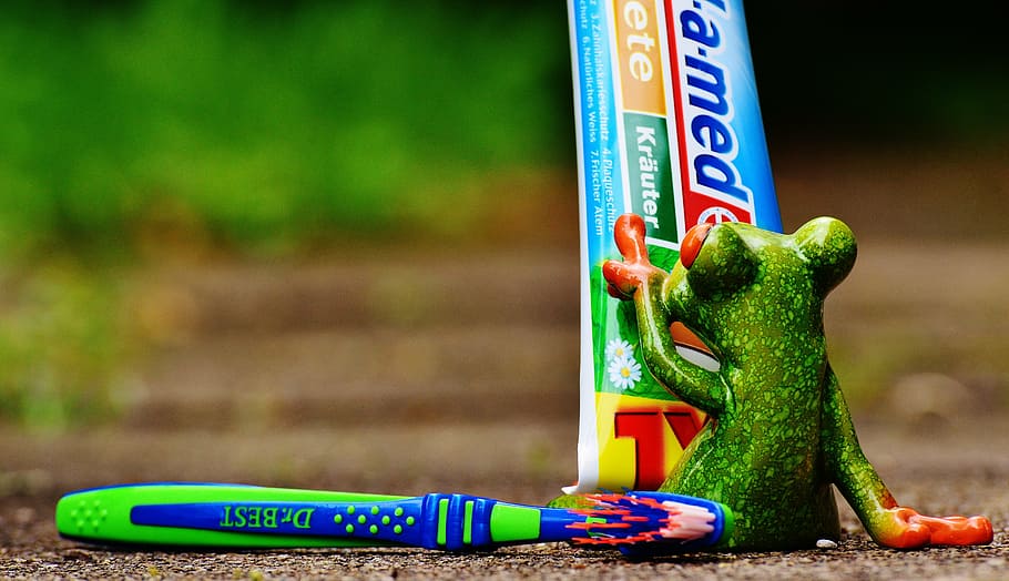 green frog reading toothpaste soft-tube label, toothbrush, brushing teeth HD wallpaper