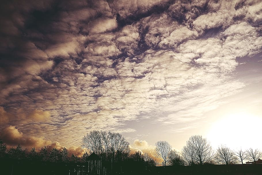 light, dawn, landscape, nature, backlit, clouds, dark, daylight HD wallpaper