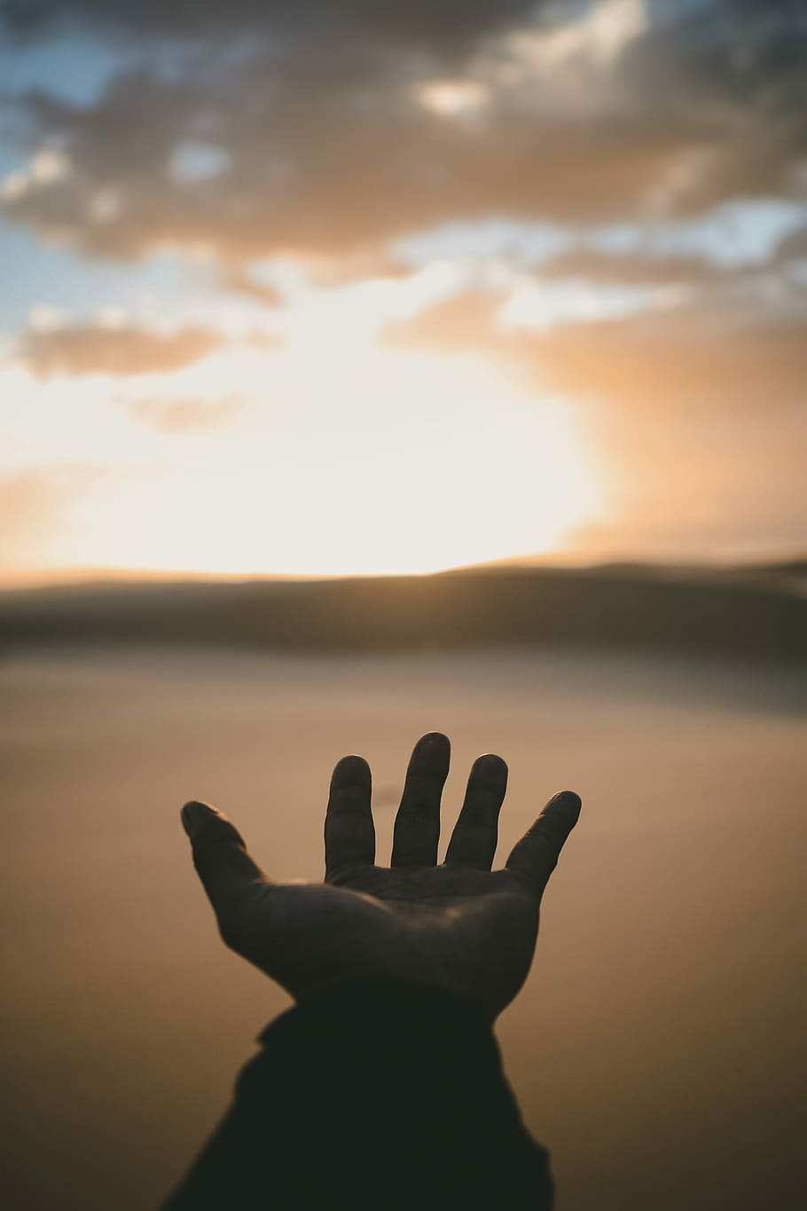 person's hand, person opening left palm golden hour photography HD wallpaper