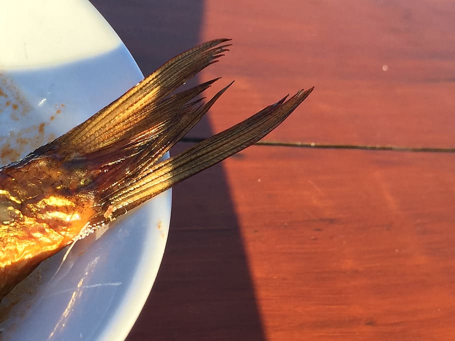 Fish, Restaurant, Plate, Table, fish restaurant, wood, kippers HD wallpaper