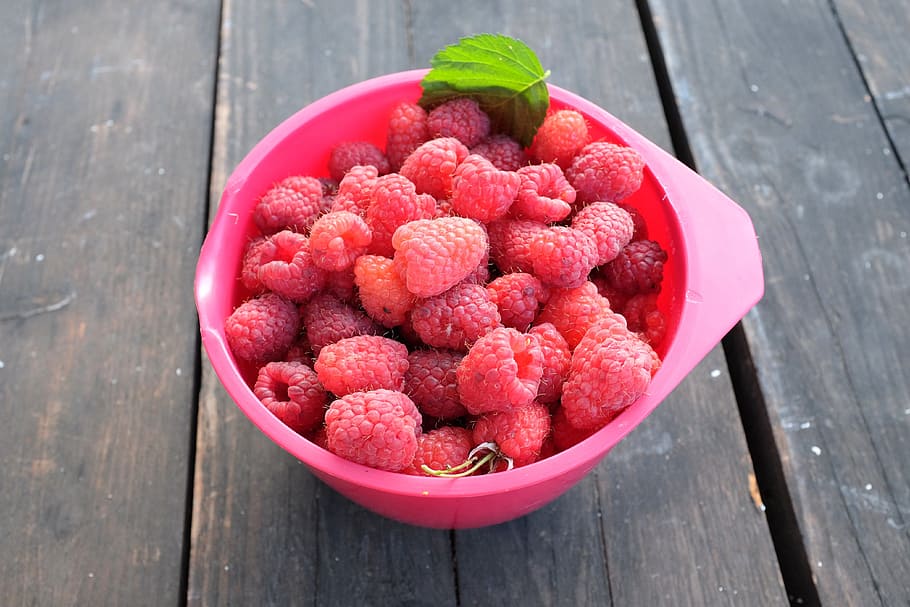bowl, raspberry, garden, fruits, food and drink, healthy eating HD wallpaper