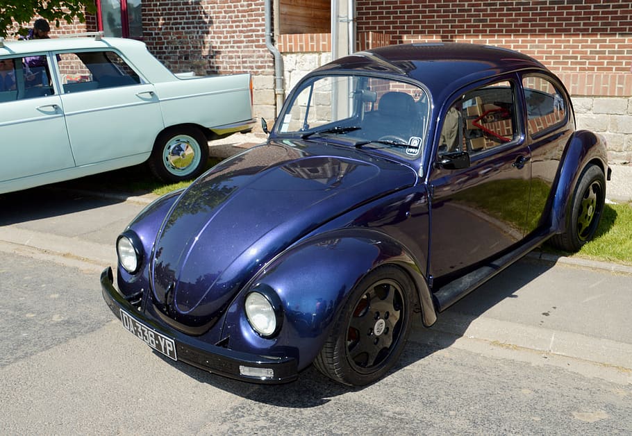 volkswagen beetle, retro, car, courtesy vehicle, vintage, ladybug, HD wallpaper