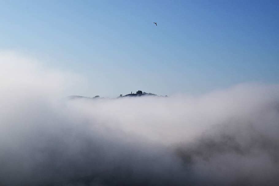 white cloud under blue sky, white cloudy sky, mountain, bird HD wallpaper