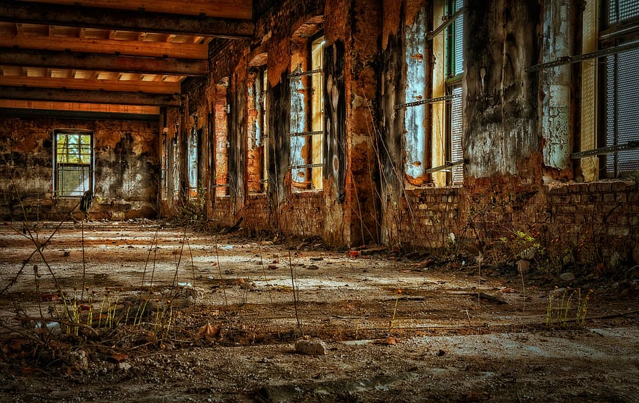 building ruines with plants, factory, hall, empty, old factory, HD wallpaper