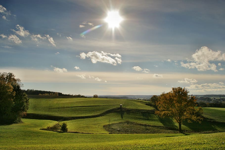 landscape, sun, autumn, sky, nature, rural Scene, tree, field HD wallpaper