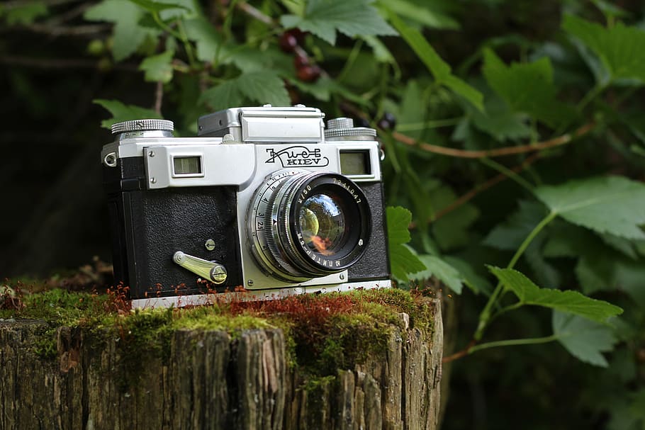 black and gray camera on gray tree trunk, vintage, kiev, old HD wallpaper