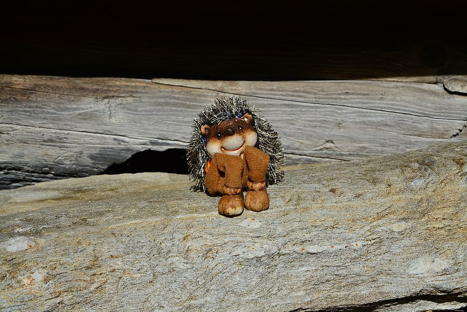 hedgehog, figure, stone, animal themes, animal wildlife, animals in the wild HD wallpaper