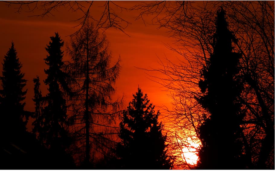 sunset, afterglow, trees, evening sky, abendstimmung, bright red HD wallpaper