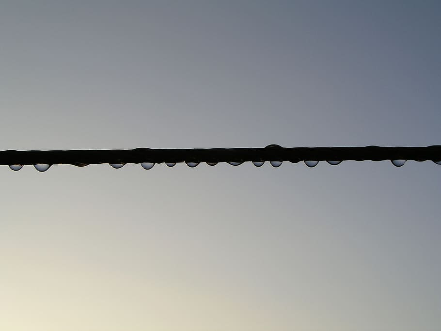 dawn, drops, line, dew, spring, sky, clear sky, copy space HD wallpaper