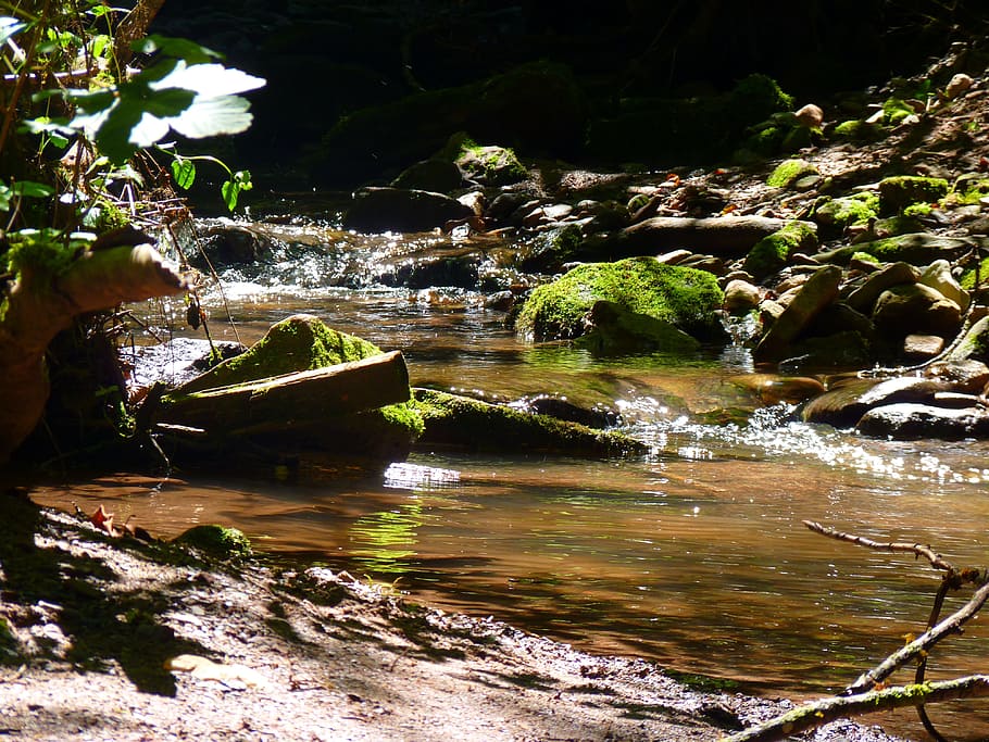 Water, Bach, Flow, Nature, river, stream, outdoors, rock - Object HD wallpaper