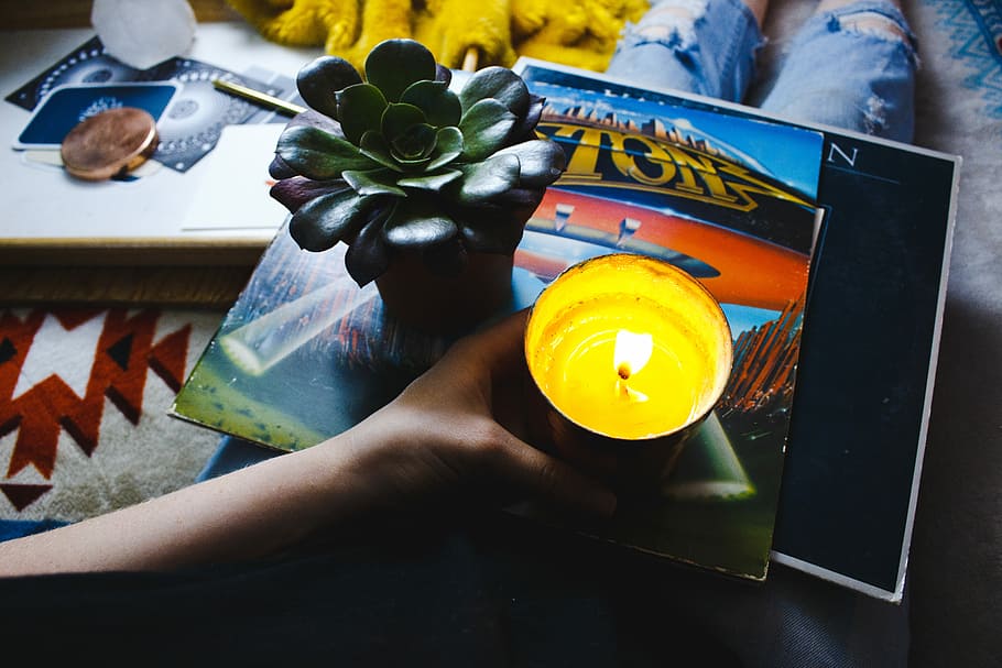 person holding tealight, person holding candle in cup beside succulent plant HD wallpaper