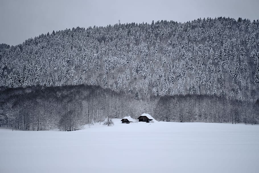 Winter Huts, view of snow covered mountain, tree, woodland, forest HD wallpaper