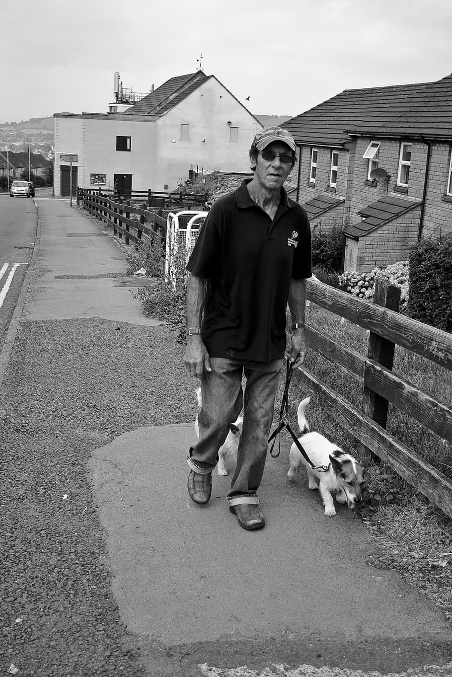 man, walking, dogs, male, person, black And White, people, men