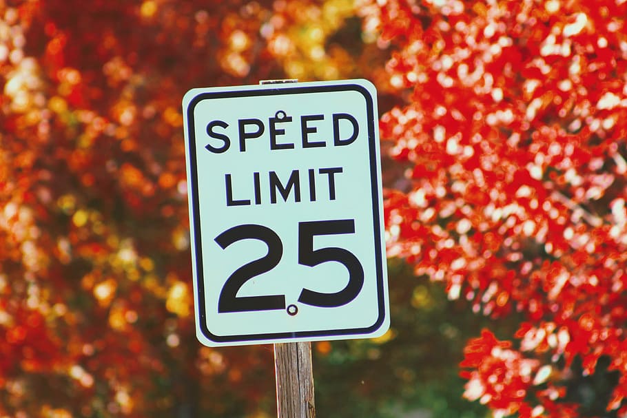 speed limit 25 sign, white and black speed limit 25 signage, fall HD wallpaper