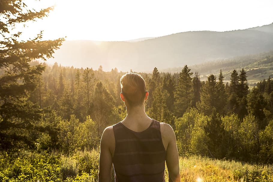 guy, man, trees, forest, woods, nature, landscape, outdoors HD wallpaper