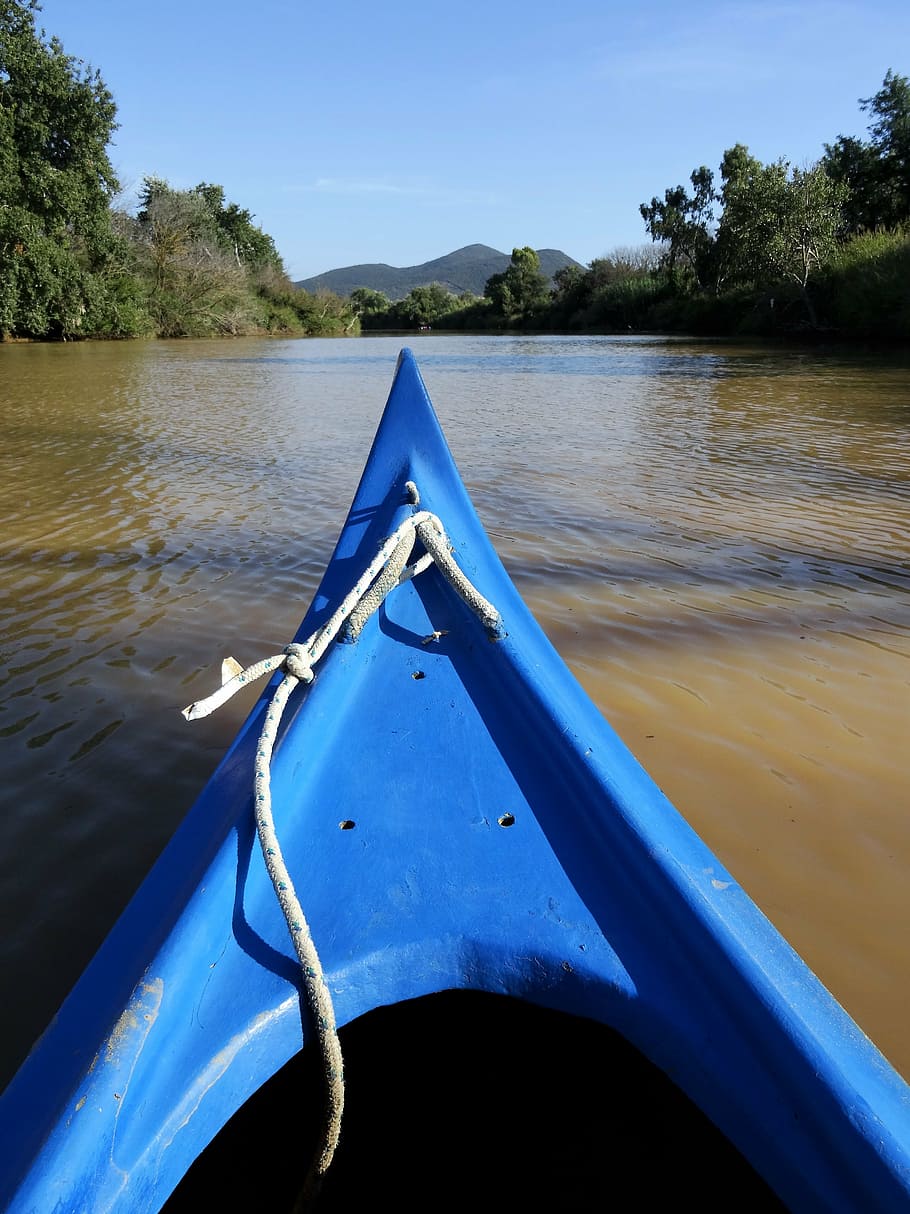 canoeing, river, mud, tuscany, ombrone, water, tree, nature HD wallpaper