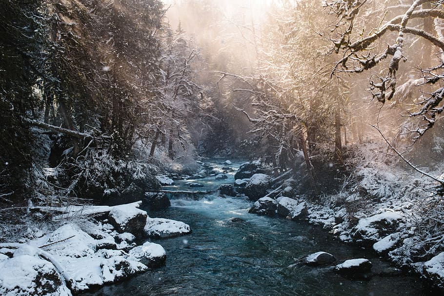 river between snow filled soil, flowing stream in the middle of snow covered forest during sunny day HD wallpaper