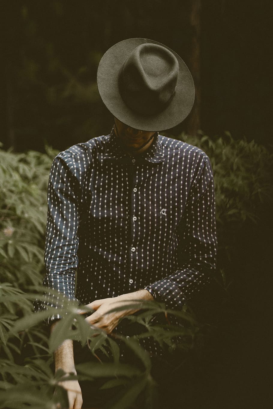 people, guy, man, nature, outdoor, fashion, hat, dark, blur HD wallpaper