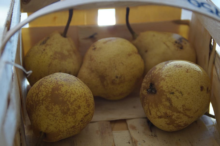 Pears, Fruit Basket, picked, harvest, ripe, autumn, food, frisch HD wallpaper